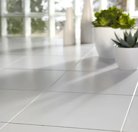 Close-up of pristine white kitchen floor tiles with natural light and indoor plant on the windowsill.