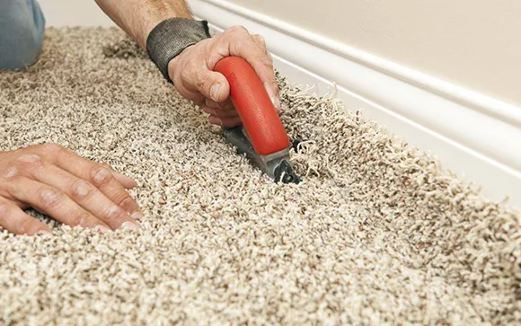 Close-up of hands using handheld vacuum cleaner on beige carpet during carpet cleaning service.