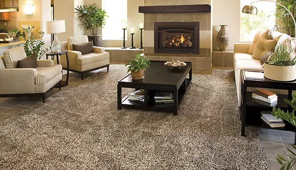 Cozy living room with beige carpet, fireplace, and comfortable seating in a warmly decorated space.